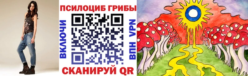 mega зеркало  Гудермес  Псилоцибиновые грибы мухоморы  закладка 