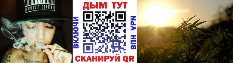 darknet наркотические препараты  наркошоп  Гудермес  Бошки Шишки тримм 